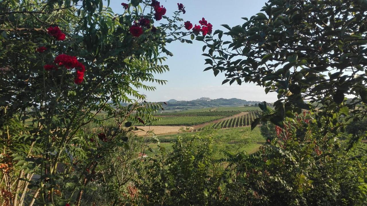 Agriturismo La Chiesina Abbadia di Montepulciano Buitenkant foto